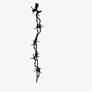 竖直能力纠结的铁丝荆条免抠