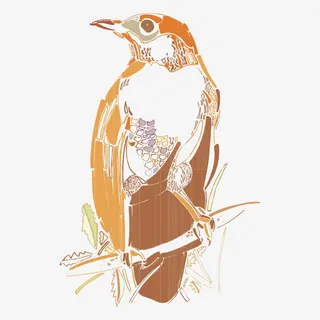 树枝 干树枝 小鸟免抠