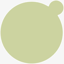 绿色对话框免抠