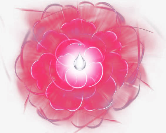 唯美花卉免抠