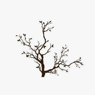 枯木逢春冒新芽免抠