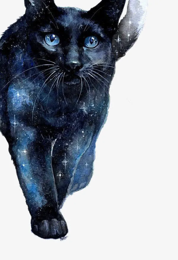 星空之猫免抠