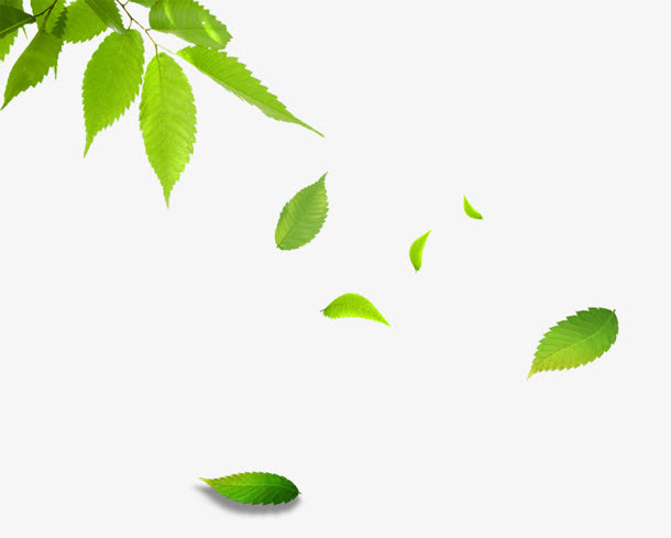 树枝飘零树叶免抠