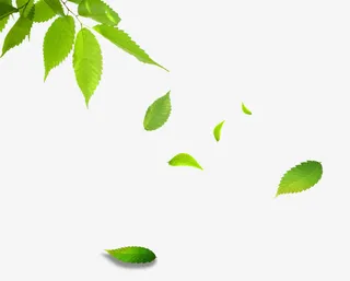 树枝飘零树叶免抠