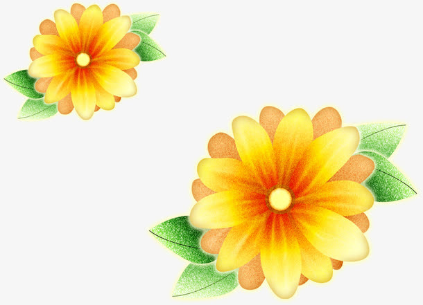 黄色小花复古边框免抠