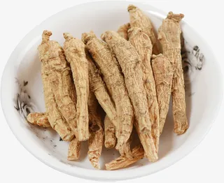 西洋参条人参段免抠