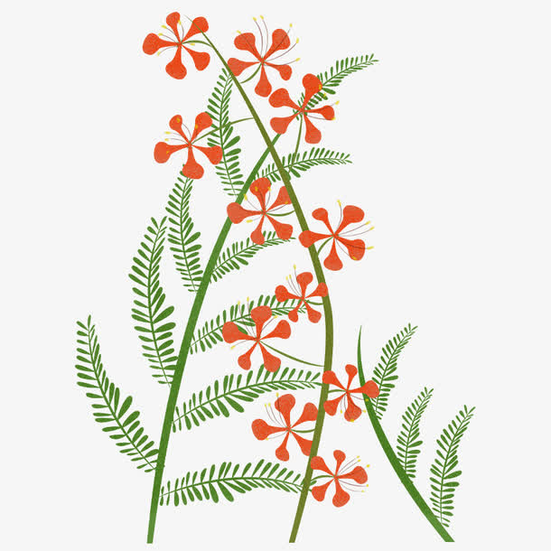 手绘植物花卉免抠