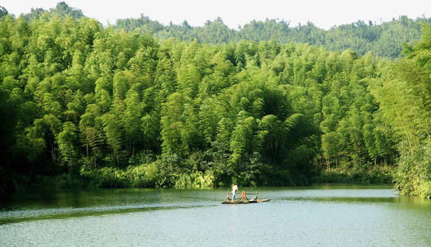 茶山竹海免抠