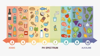 扁平化食物热量矢量素材免抠