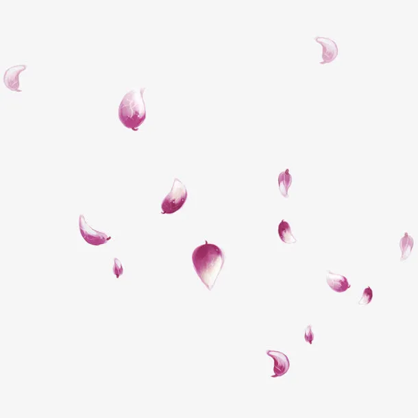 粉红花瓣免抠