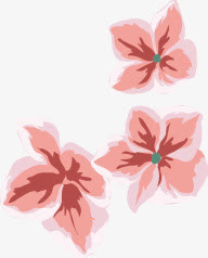 花瓣免抠