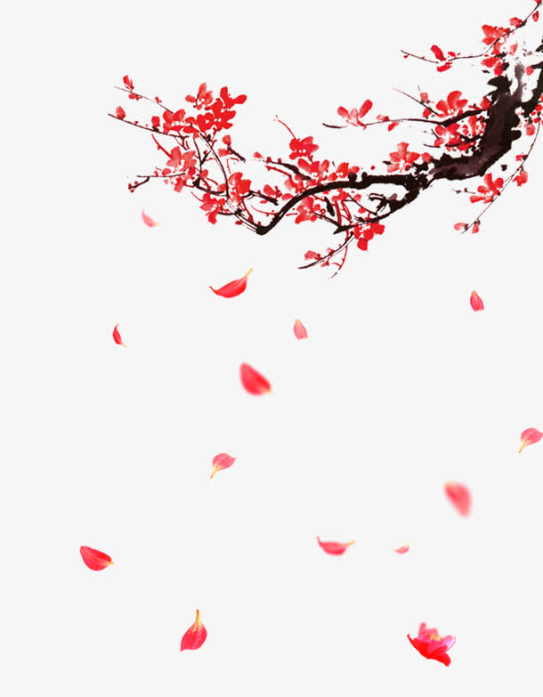 梅花素材免抠