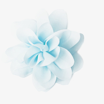 梦幻花朵免抠