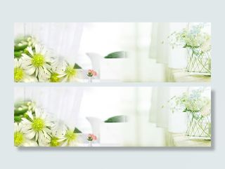 春天温馨花朵景色白色banner高清