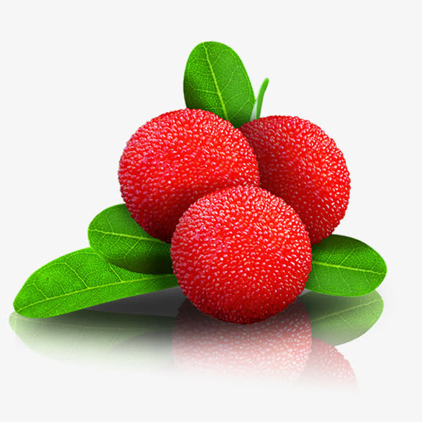 杨梅效果图装饰免抠