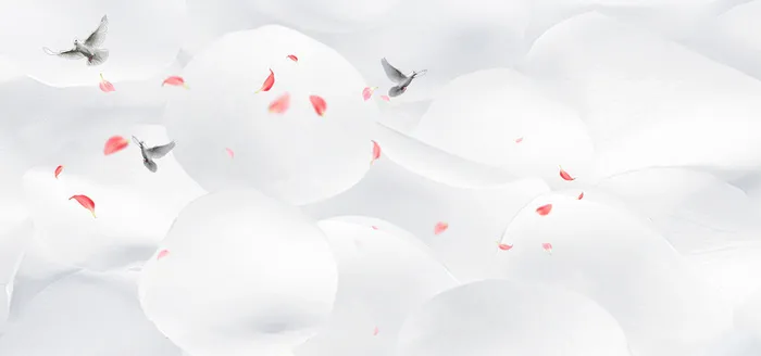 情人节花瓣梦幻背景banner高清