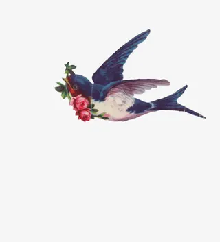 燕子与花朵免抠