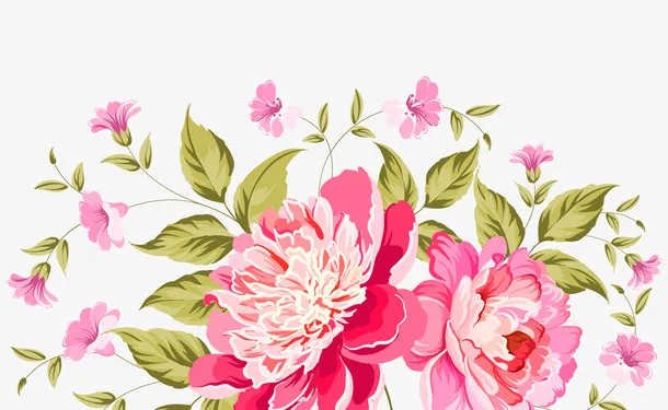 红色月季花小清新植物免抠