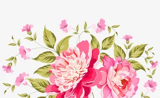 红色月季花小清新植物免抠