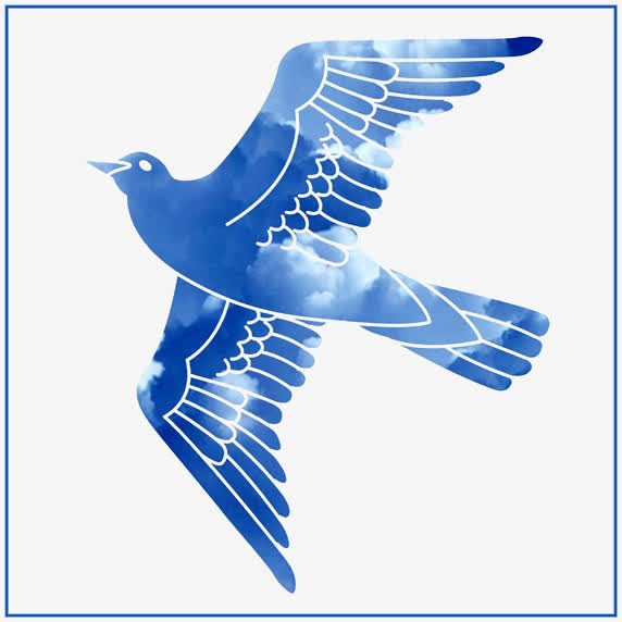 创意鸽子免抠