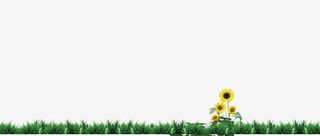 黄色春天草地花朵向日葵免抠