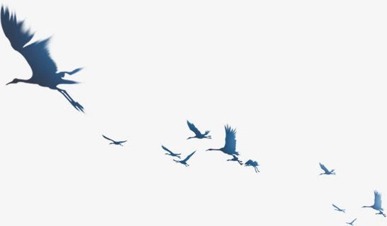 大雁南飞动物鸟类免抠