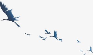 大雁南飞动物鸟类免抠