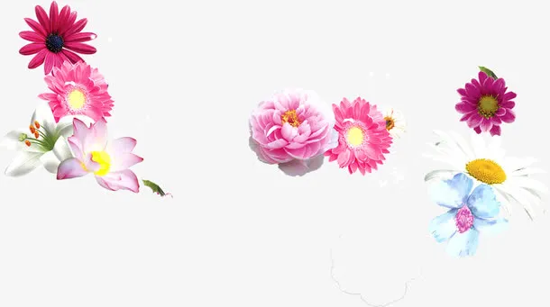 彩色节日花朵装饰母亲节免抠