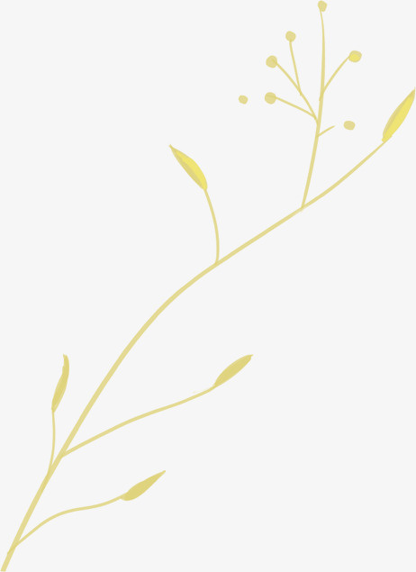 树枝免抠