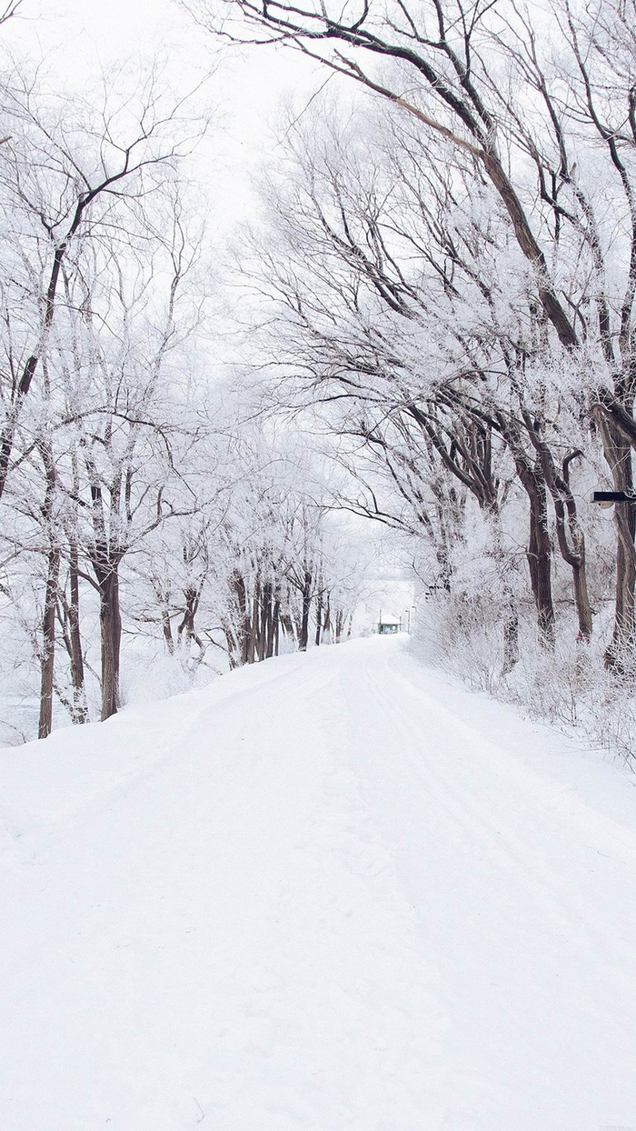 冬天下雪背景高清