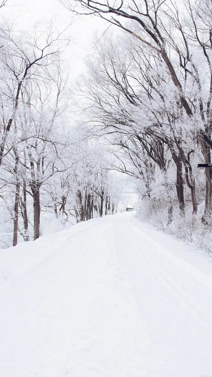 冬天下雪背景高清