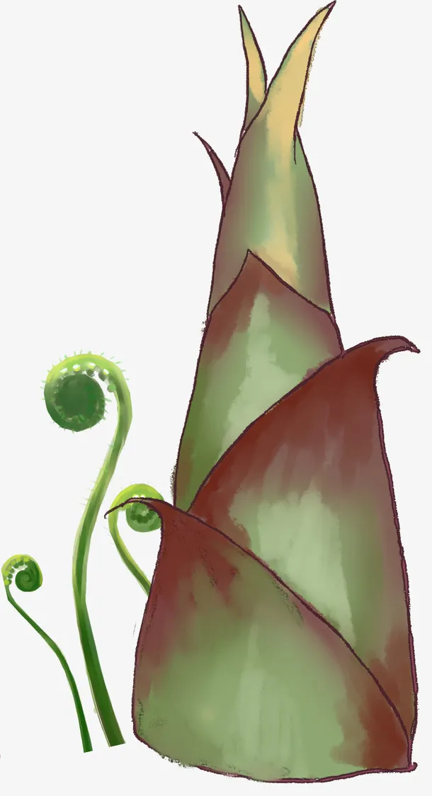 手绘雨后春笋插画素材免抠
