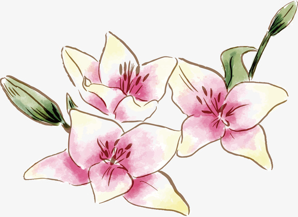 手绘春天鲜花免抠