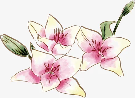 手绘春天鲜花免抠