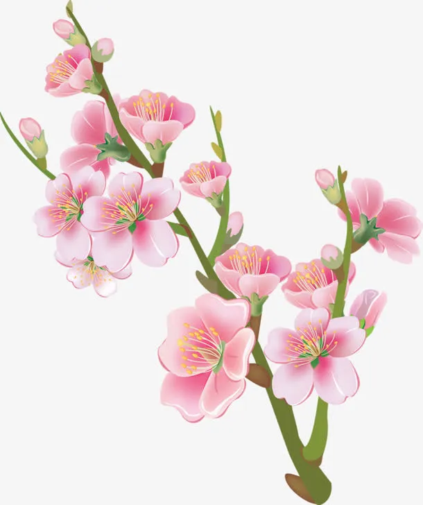 美丽的桃花免抠