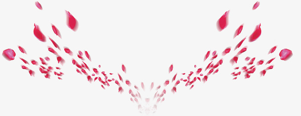 漂浮花瓣免抠