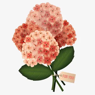 手绘卡通绣球花免抠