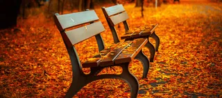 唯美秋意黄色海报背景