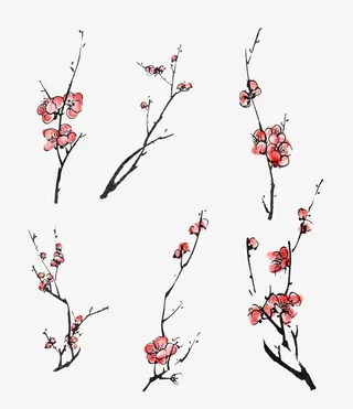 手绘梅花合集免抠