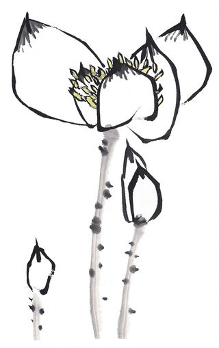 精美中国树枝画画黑白免抠