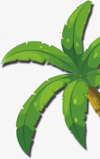 树，叶子树，椰子树免抠