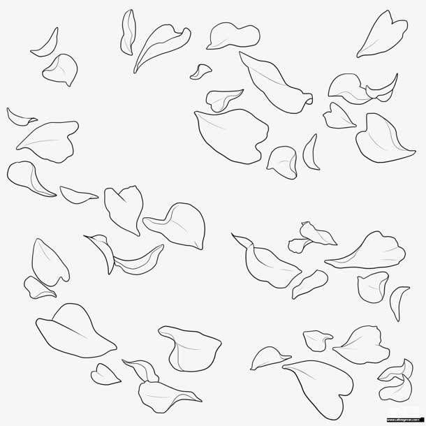 黑白花瓣线稿画稿免抠