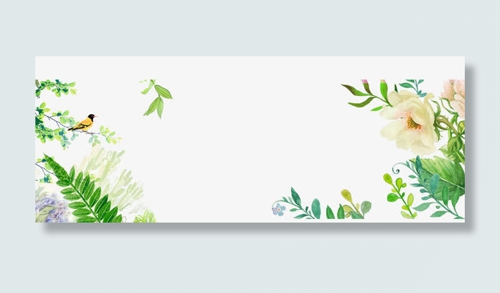 绿色植物免抠