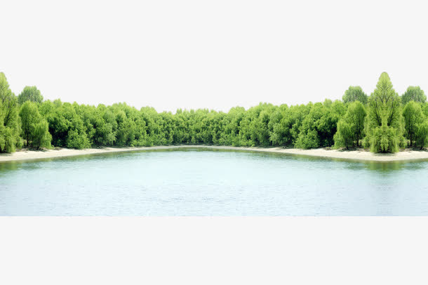 树林河水免抠
