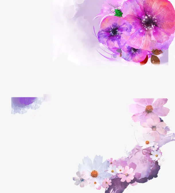 名片装饰花纹免抠