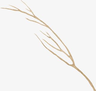 卡通手绘卡通树枝免抠