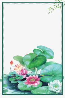 小清新夏至二十四节气荷花主题边免抠 小清新夏至二十四节气荷花主题边免抠