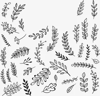 小清新手绘树枝花纹免抠