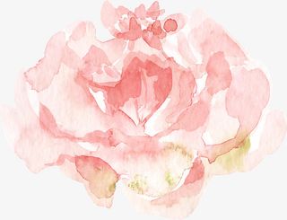 文艺清新花草海报设计装饰免抠