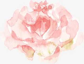 文艺清新花草海报设计装饰免抠